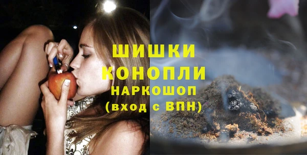сатива Абинск
