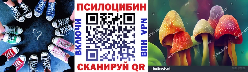 Галлюциногенные грибы Magic Shrooms  цена наркотик  Балаково 
