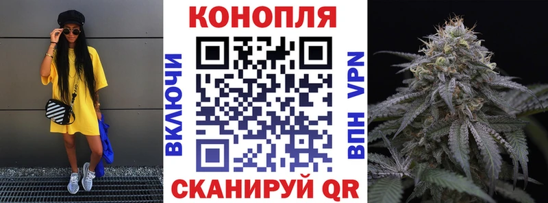купить   Балаково  Марихуана OG Kush 